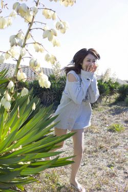 变形计父爱如山全集